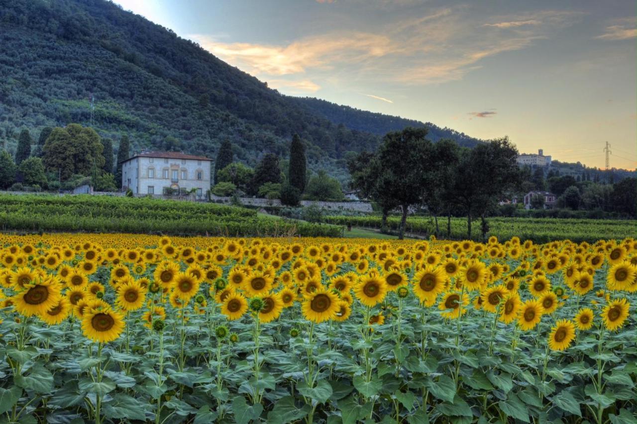 Buonvisi B&B Lucca Eksteriør bilde