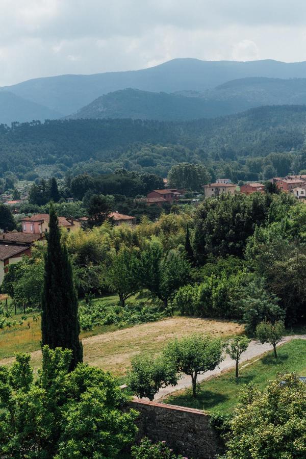 Buonvisi B&B Lucca Eksteriør bilde