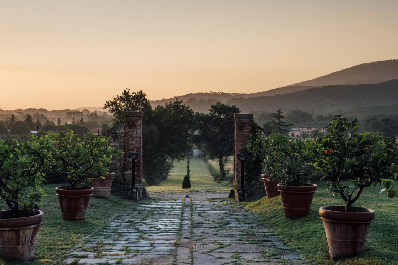 Buonvisi B&B Lucca Eksteriør bilde